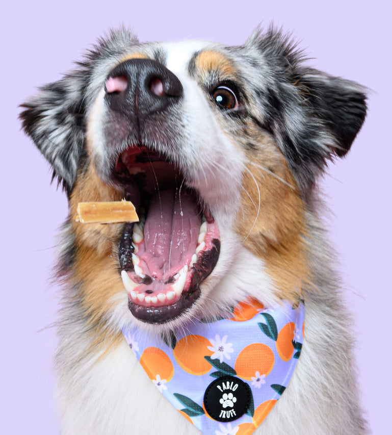 Eat
