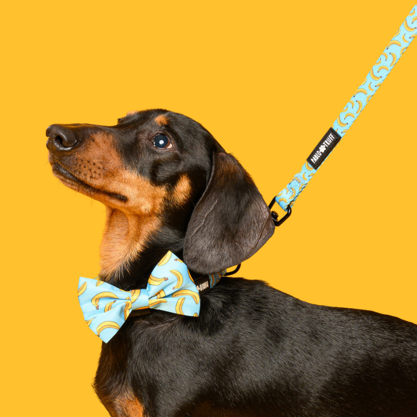 Bow Ties