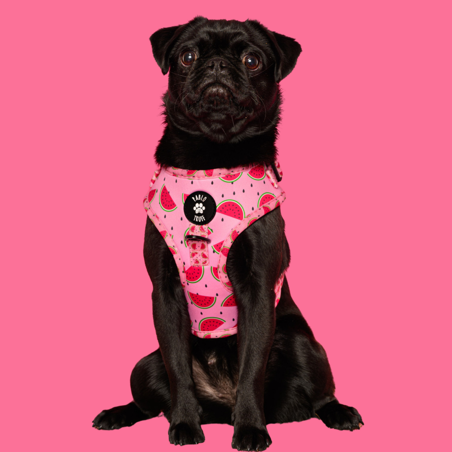 Harnesses