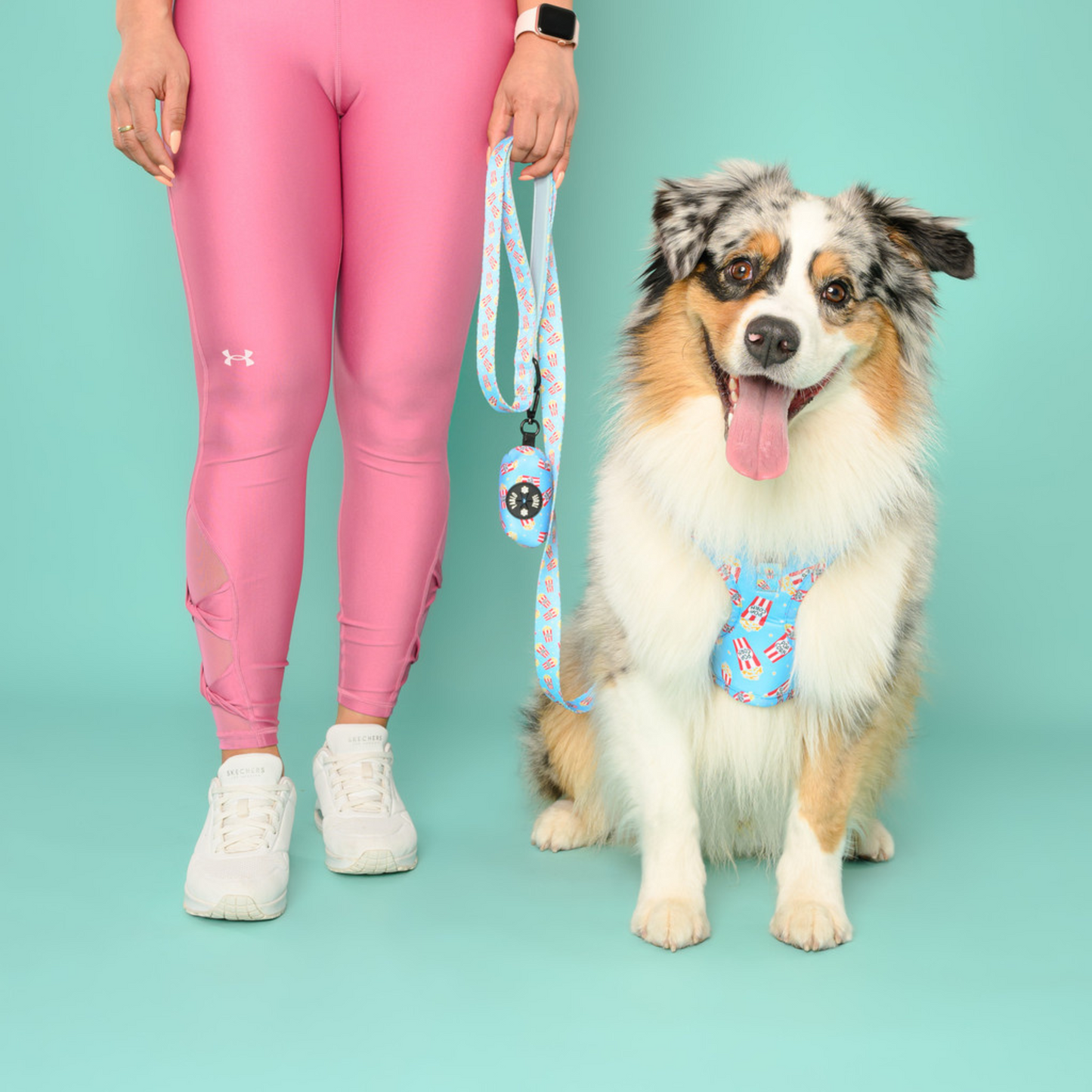 Harnesses