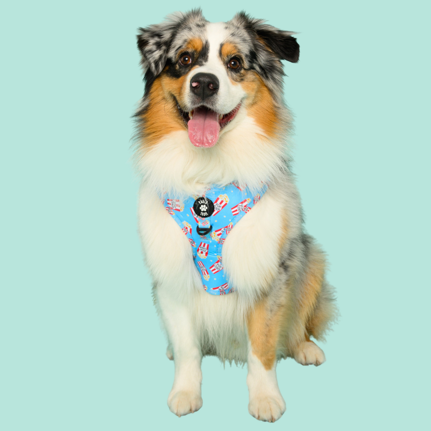 Harnesses