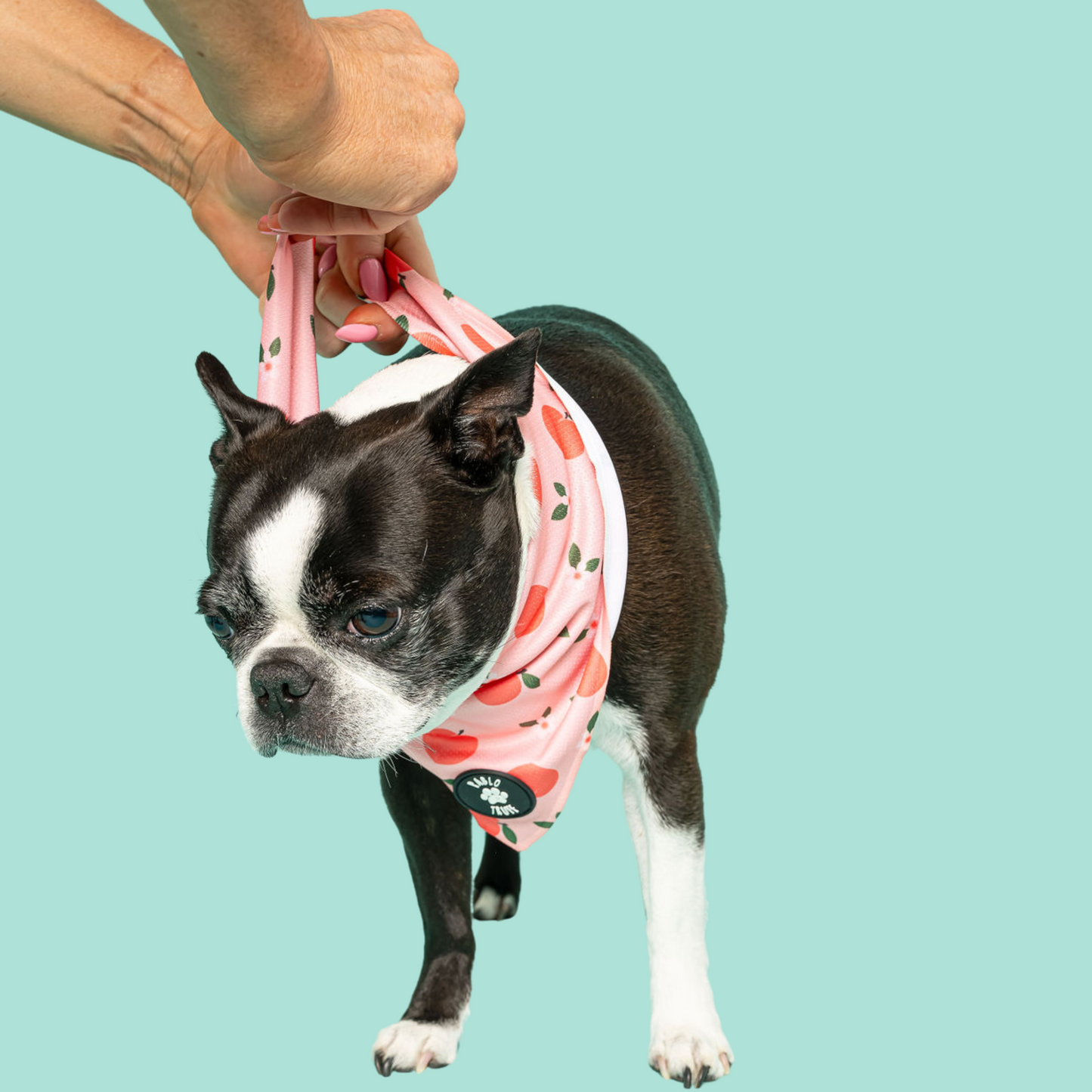 Bandanas