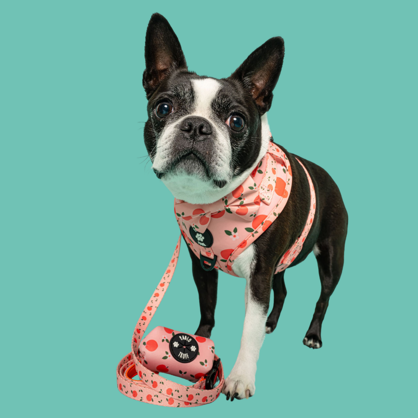 Poop Bag Holders