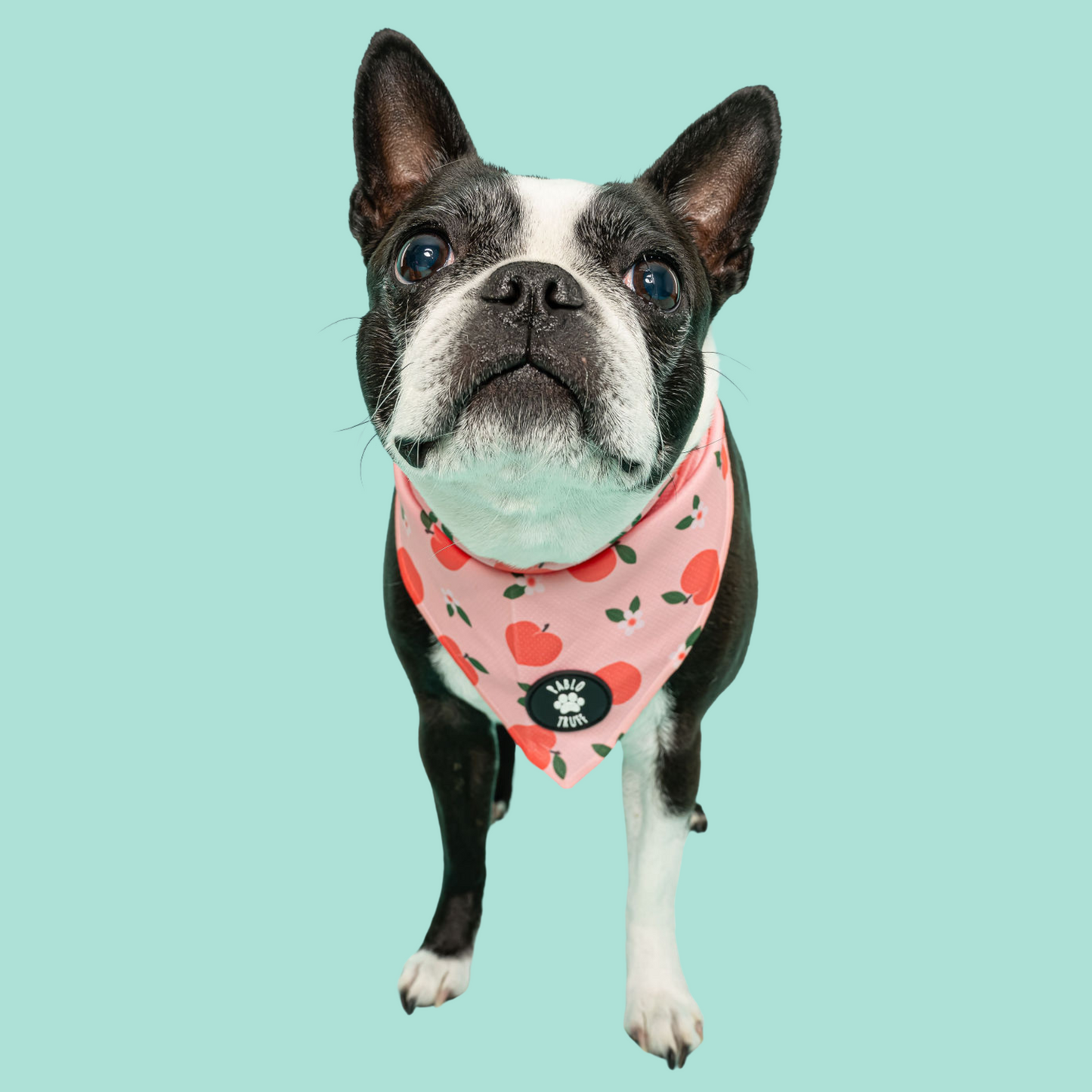 Bandanas