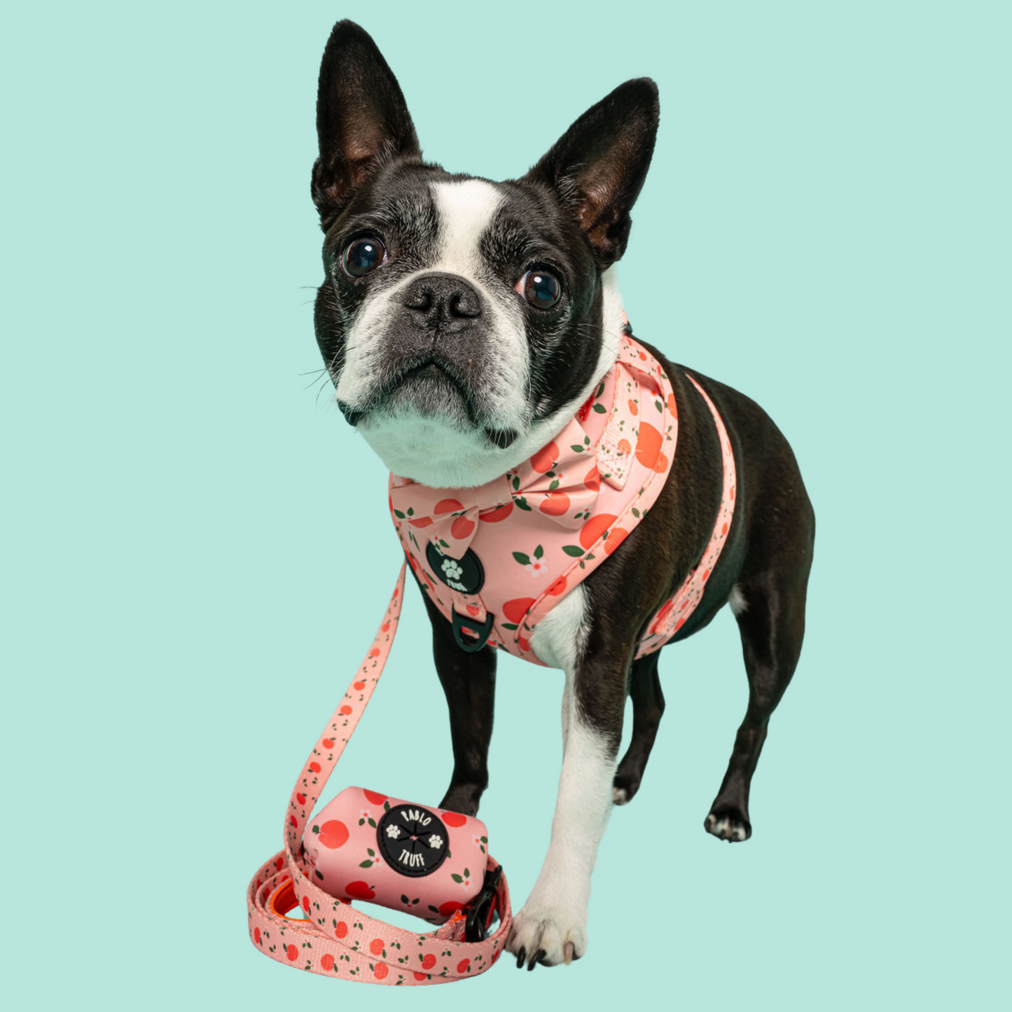 Harnesses