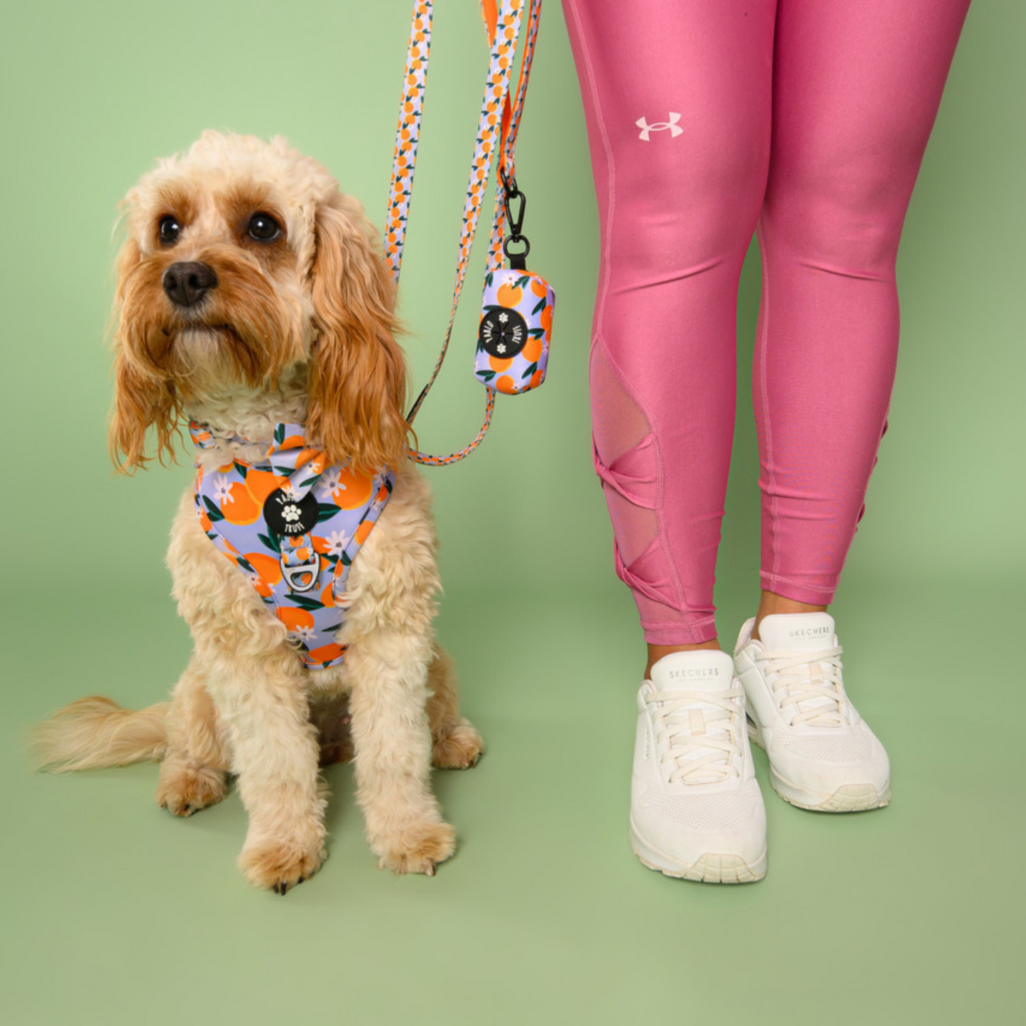 Harnesses