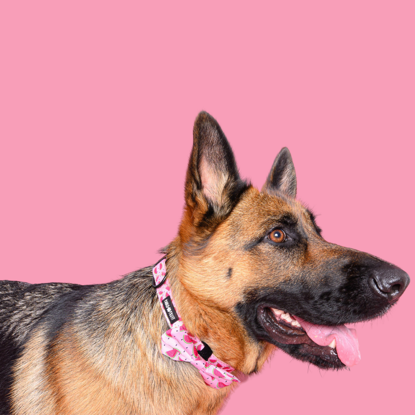 Collars