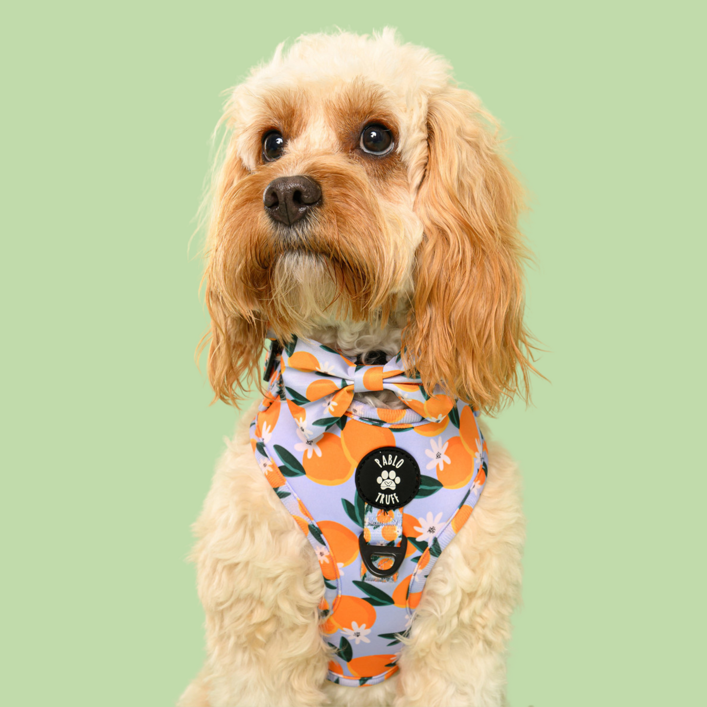 Harnesses