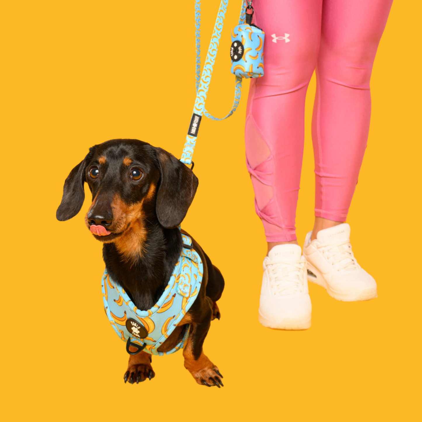Poop Bag Holders
