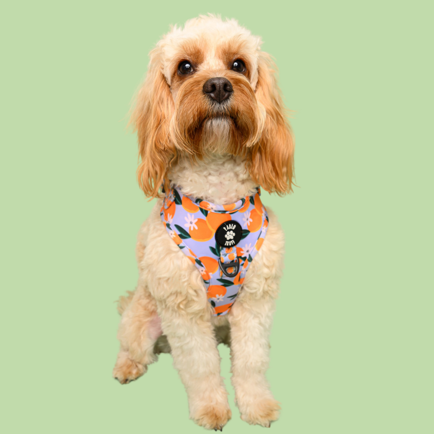 Harnesses