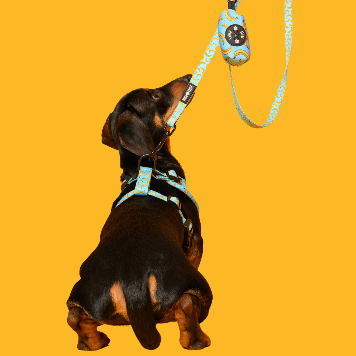Poop Bag Holders