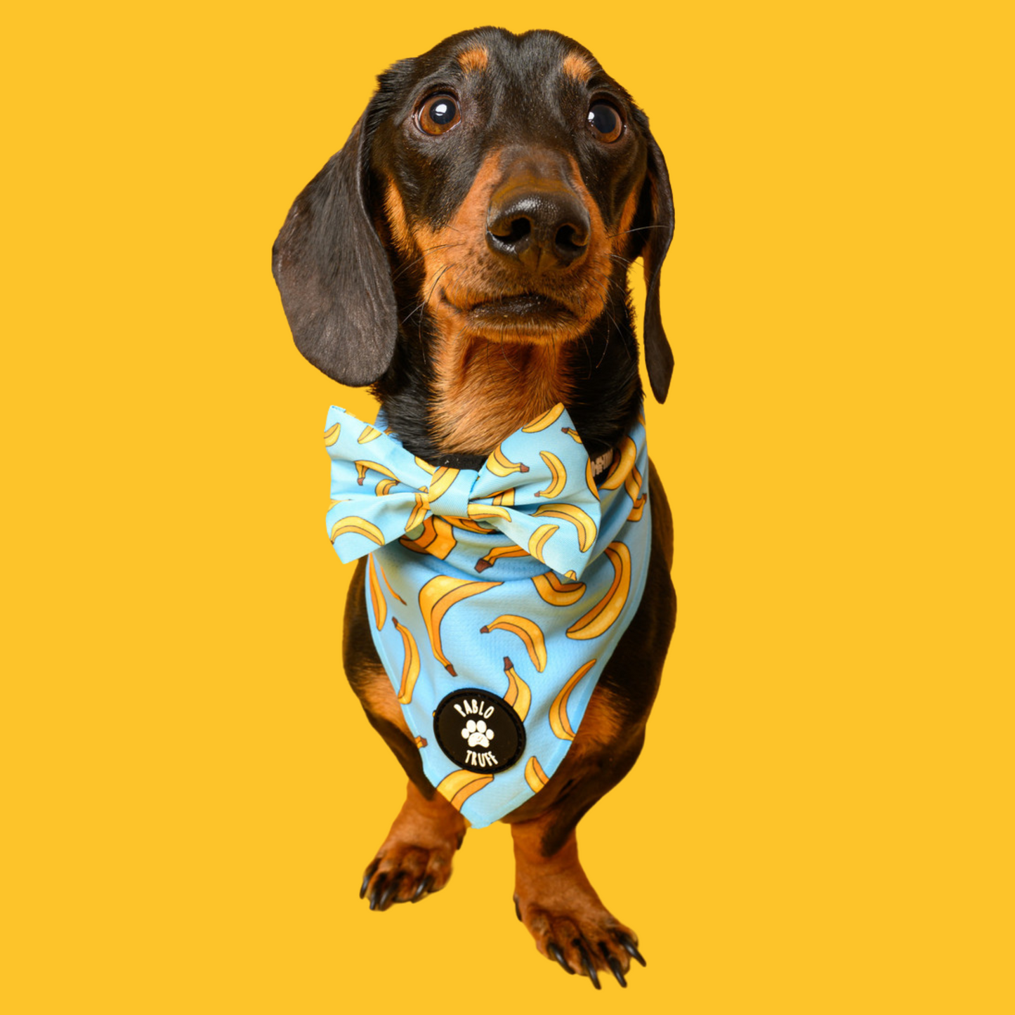 Bow Ties