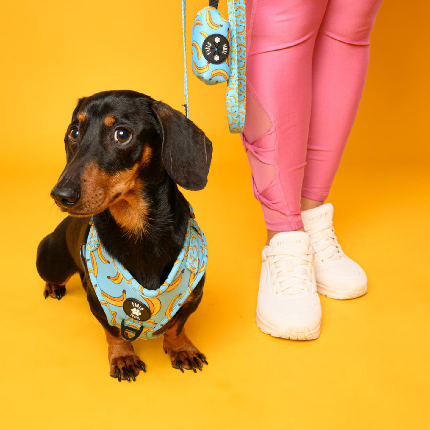 Harnesses