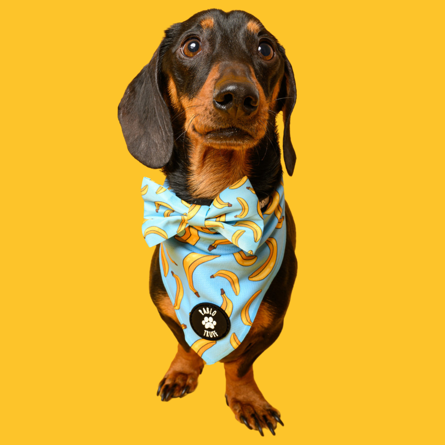 Bandanas