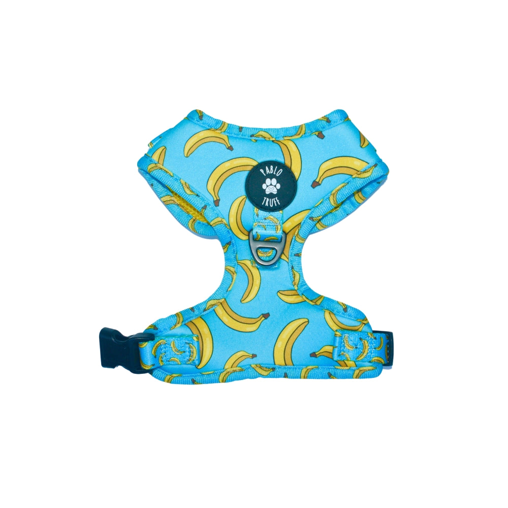 Harnesses