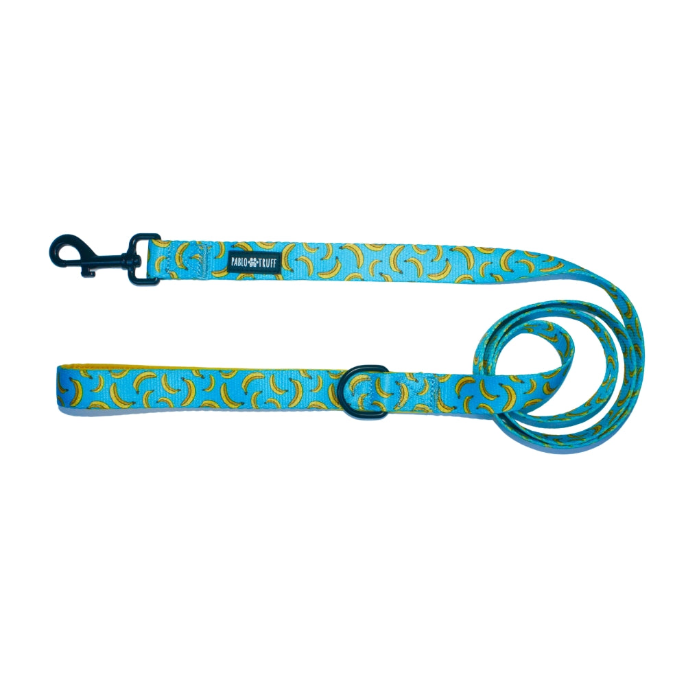 Leashes