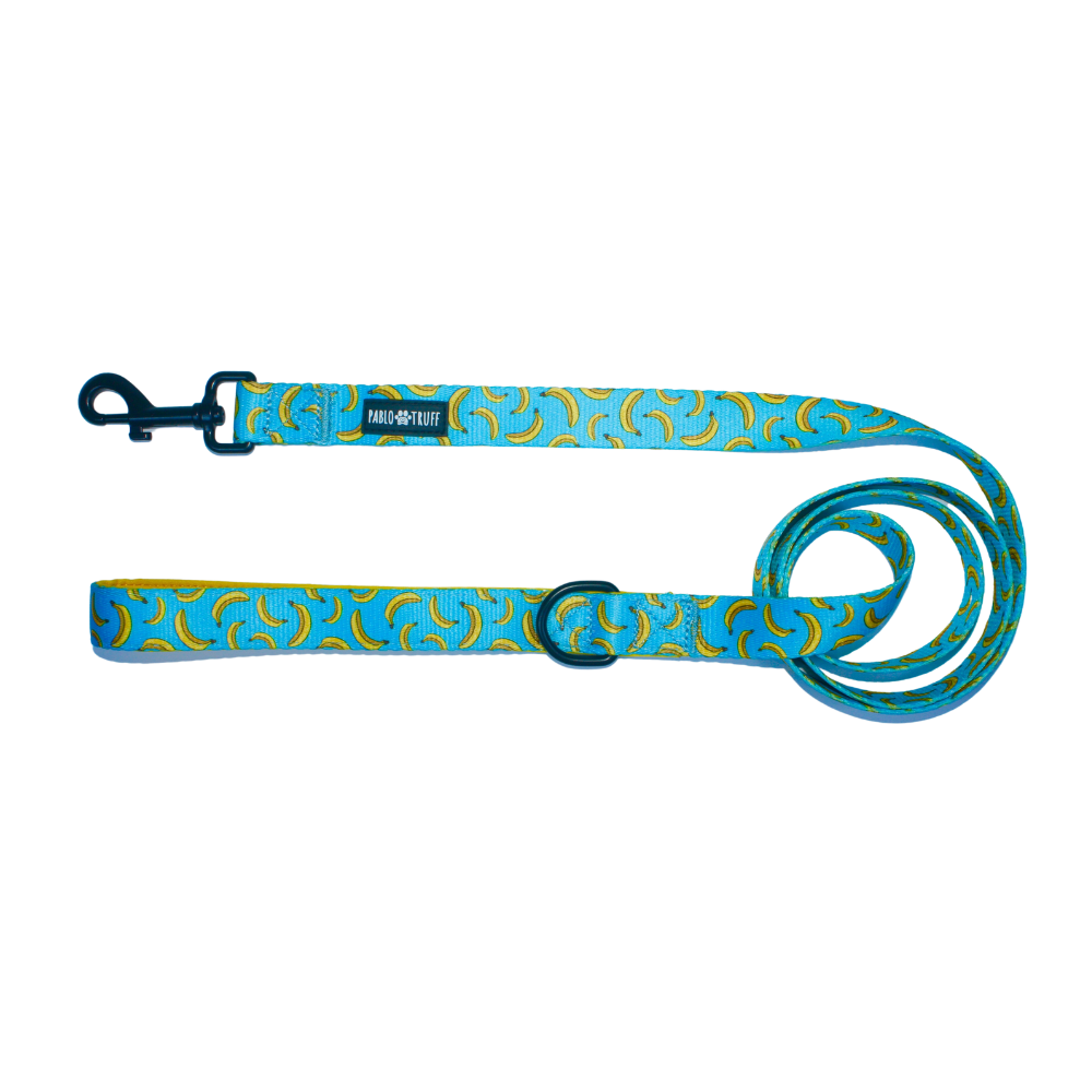 Leashes
