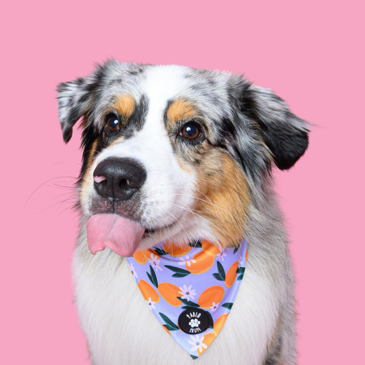 Bandanas