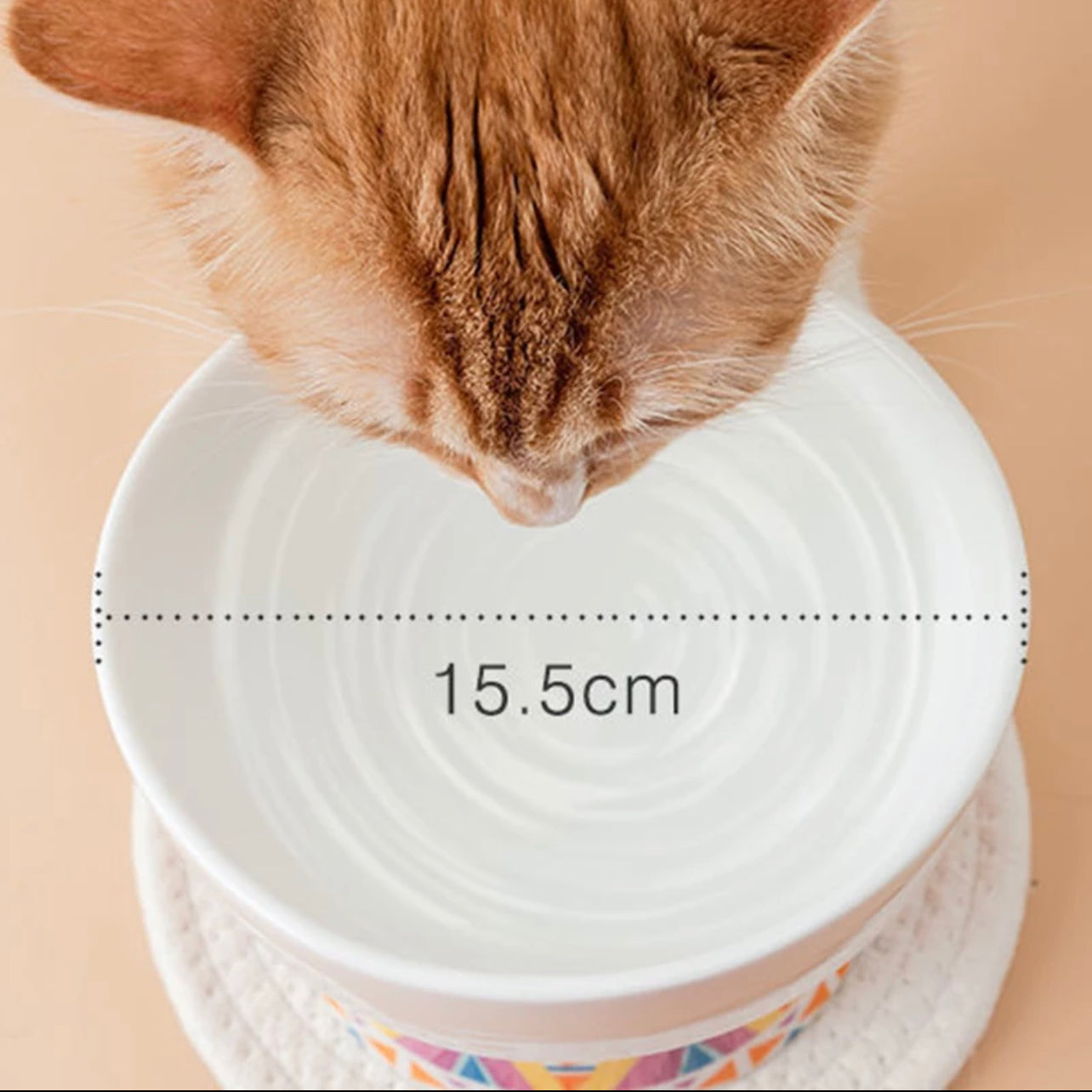 Pet Bowl