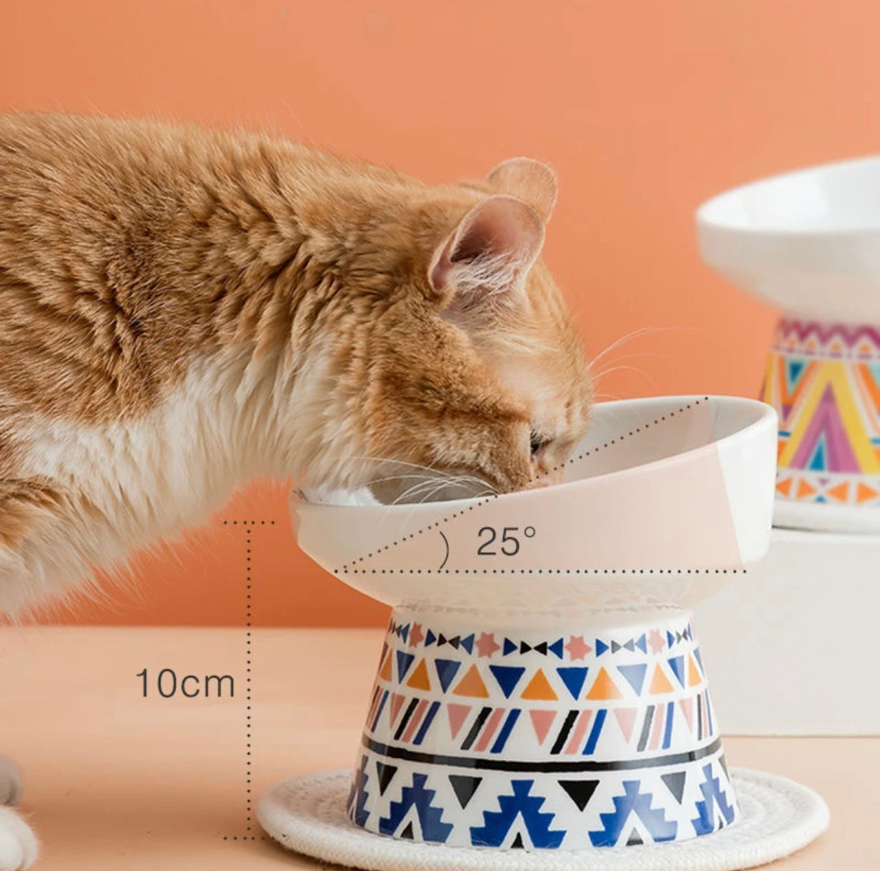 Pet Bowl