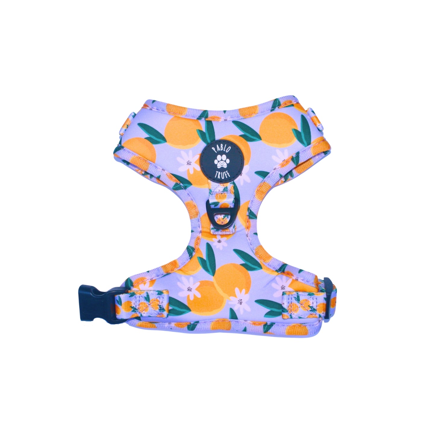 Harnesses