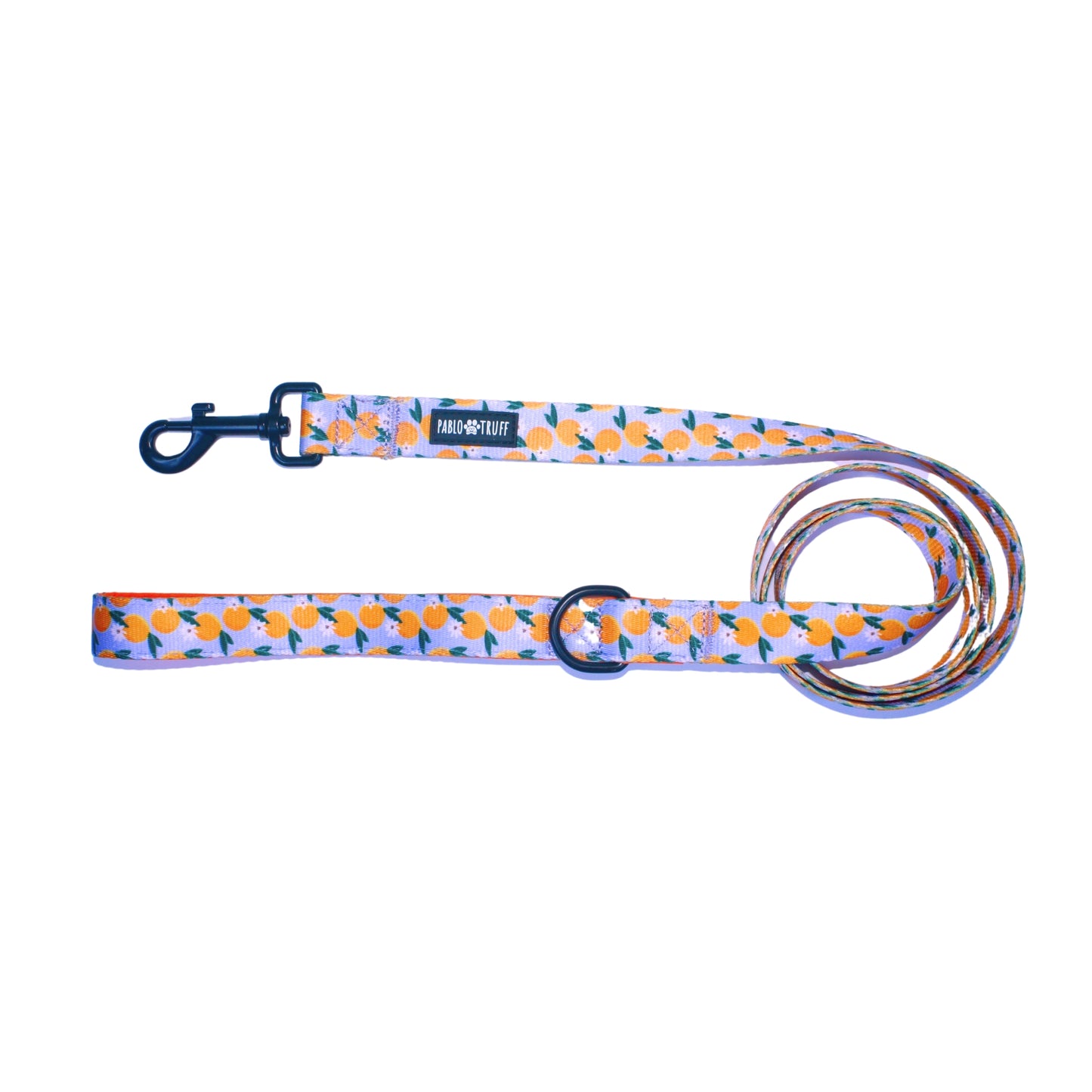 Leashes