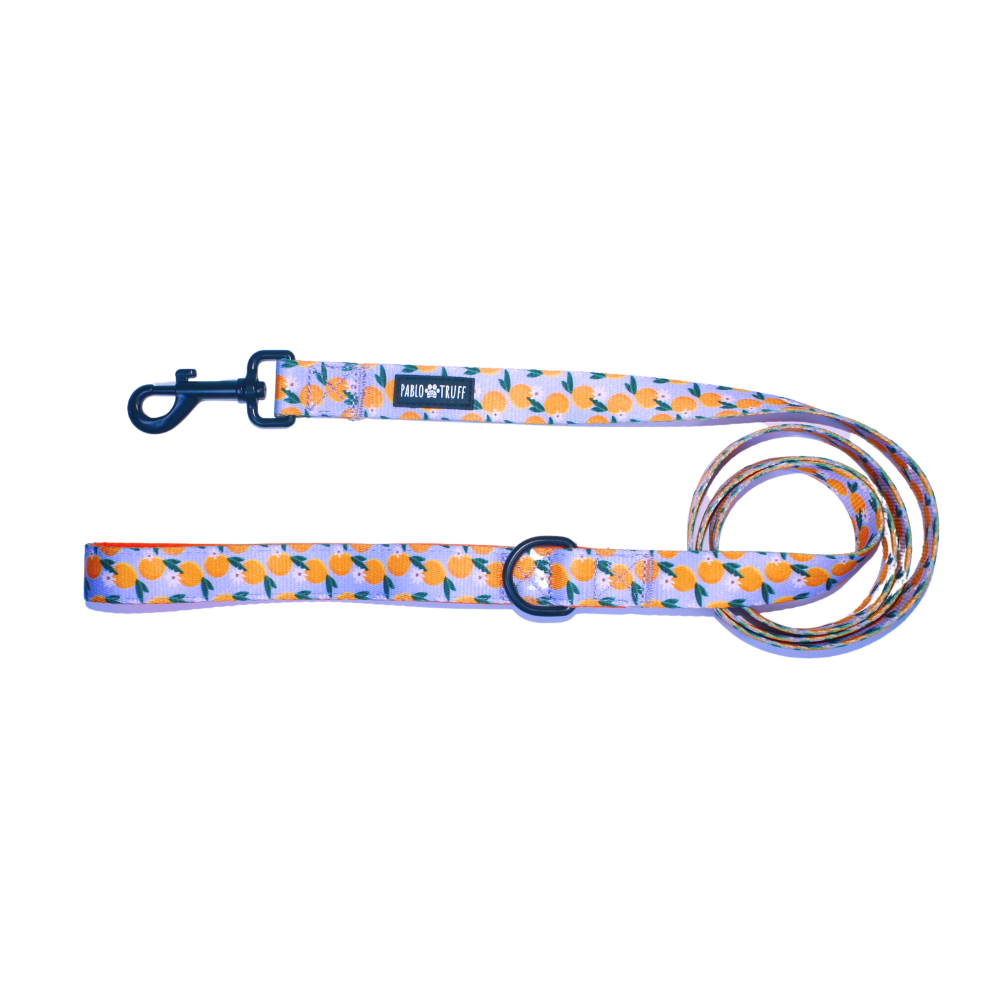 Leashes