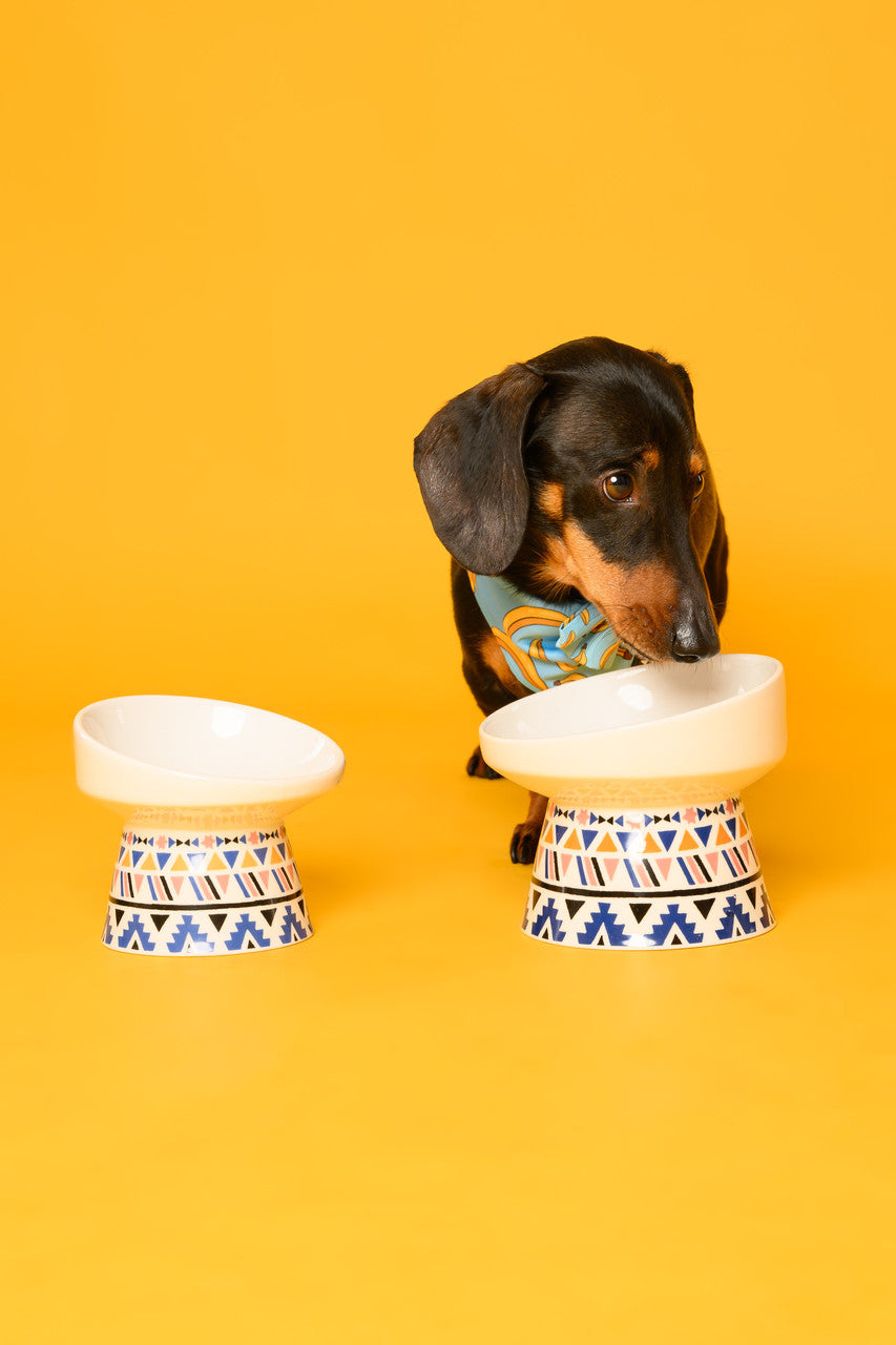 Pet Bowl