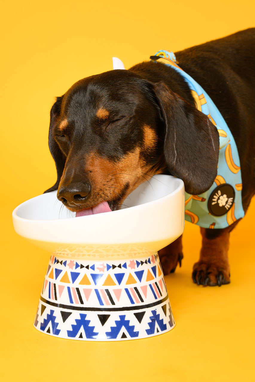 Pet Bowl