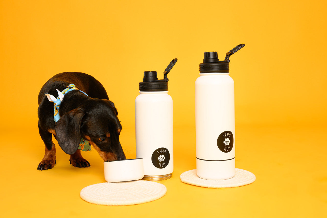 Insulated 2-In-1 Water Bottle
