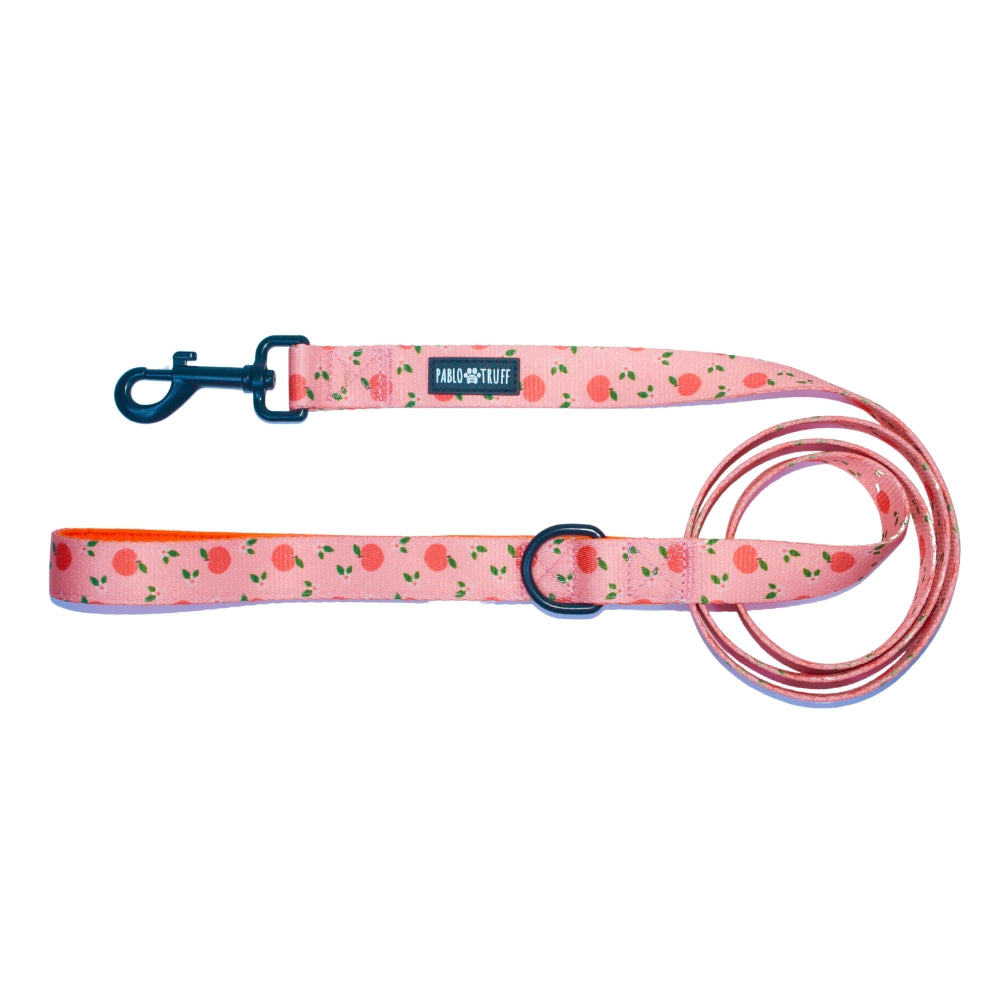 Leashes