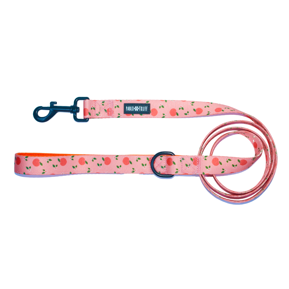 Leashes