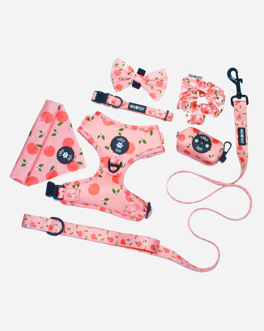 Peach Perfect: The Ultimate Set
