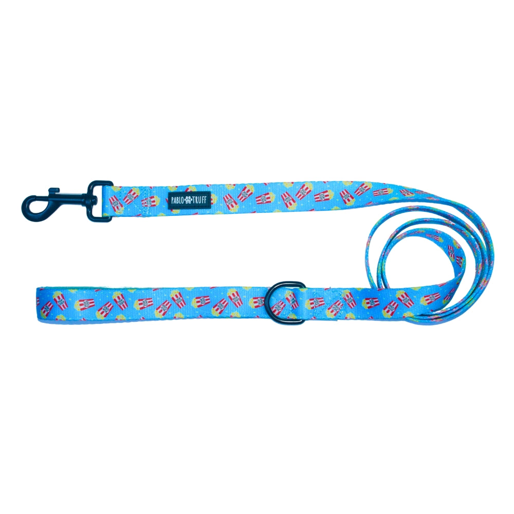 Leashes