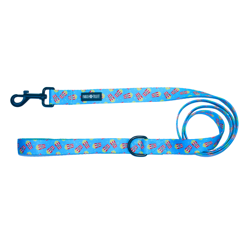 Leashes