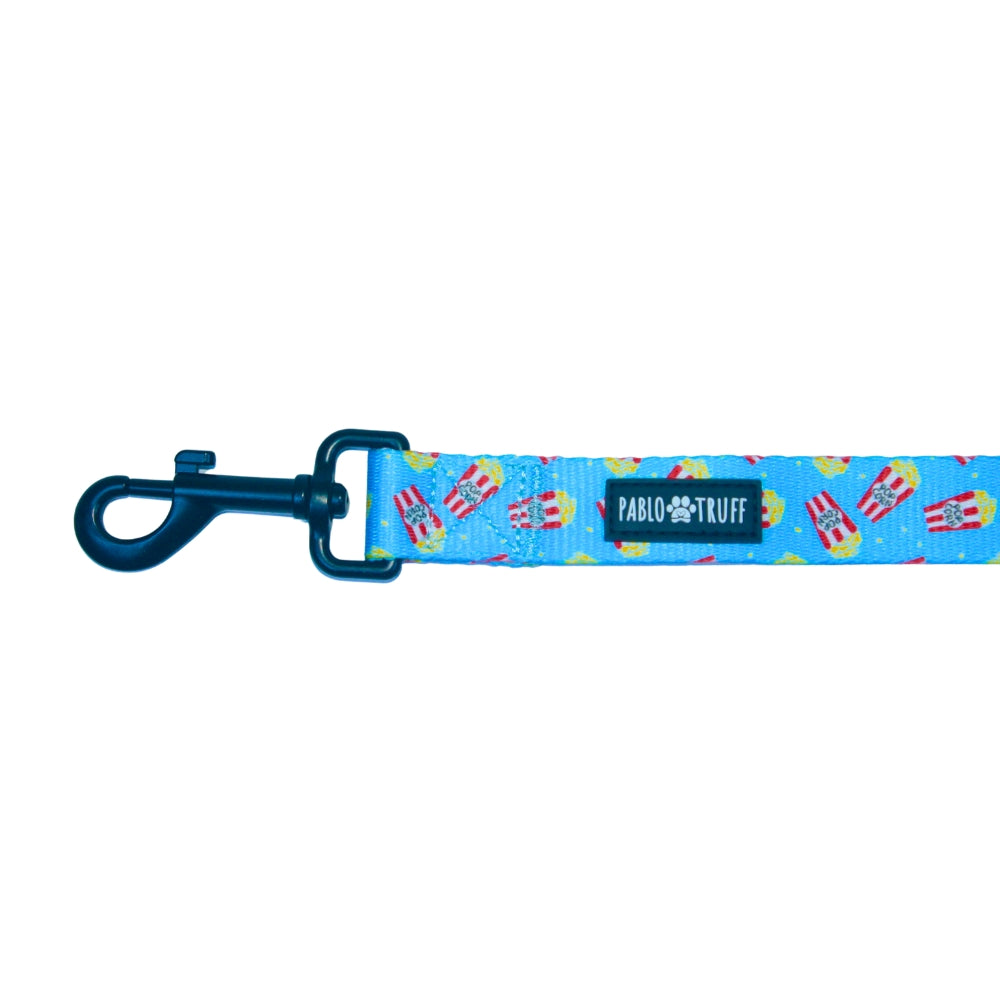 Leashes