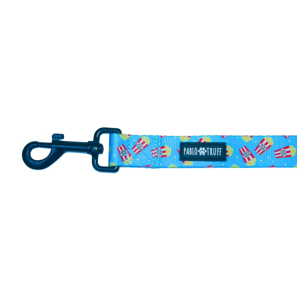 Leashes