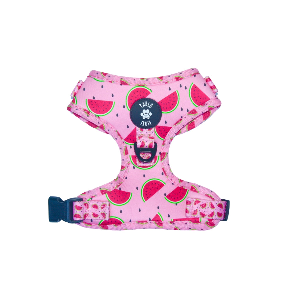 Harnesses