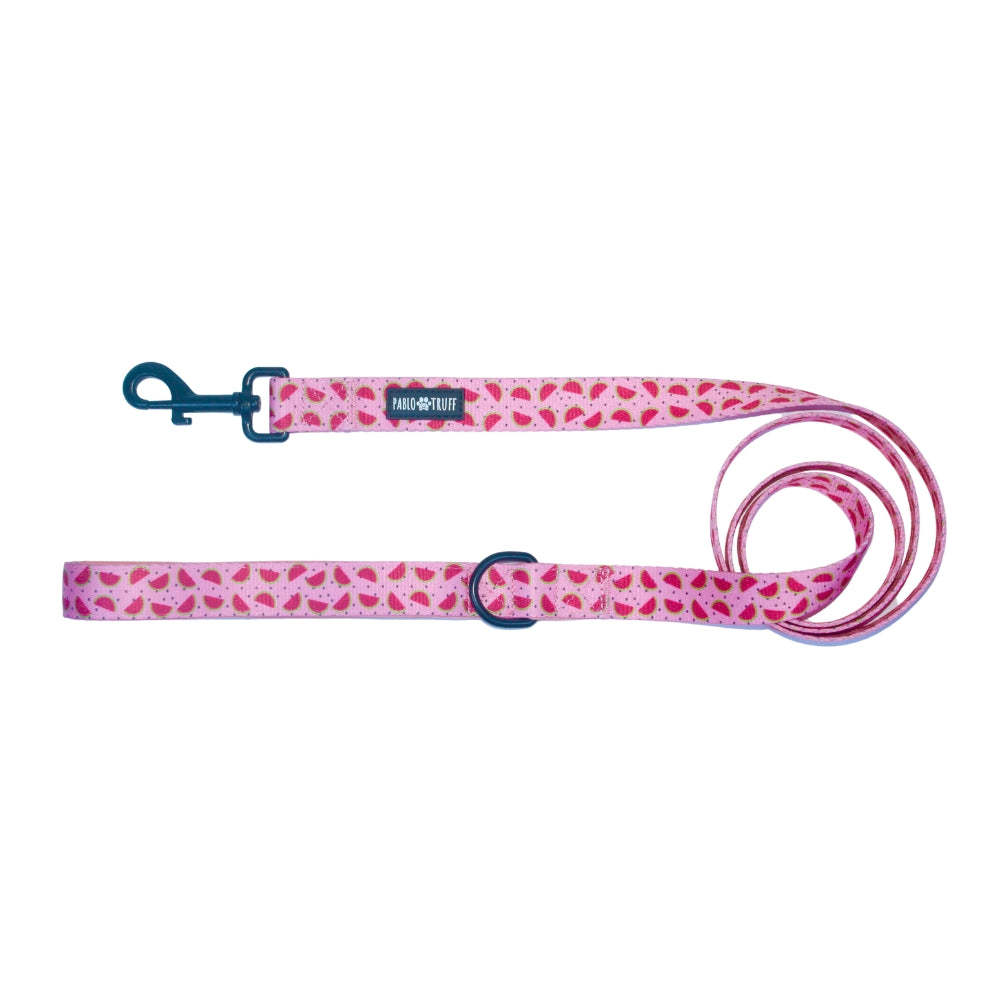 Leashes