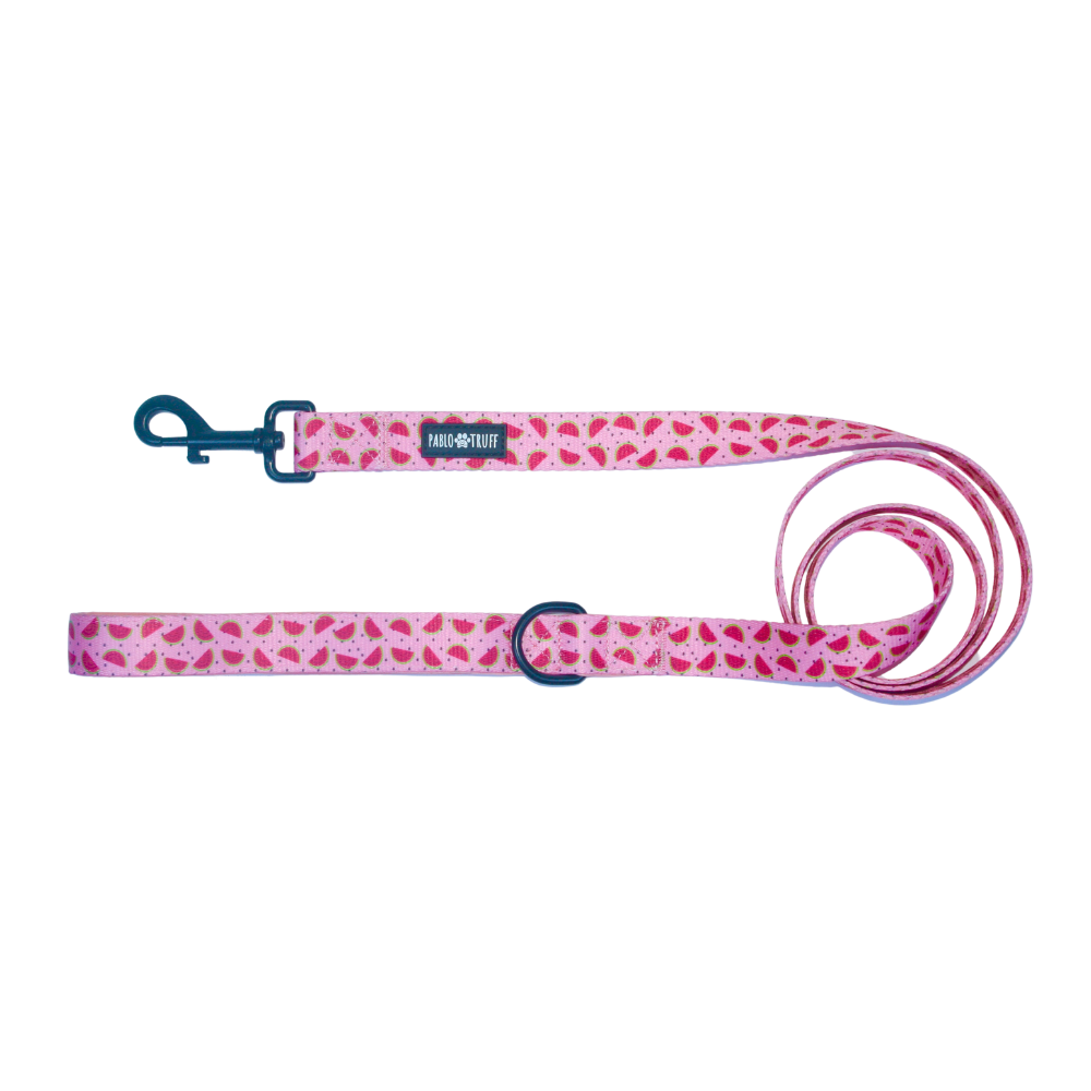 Leashes