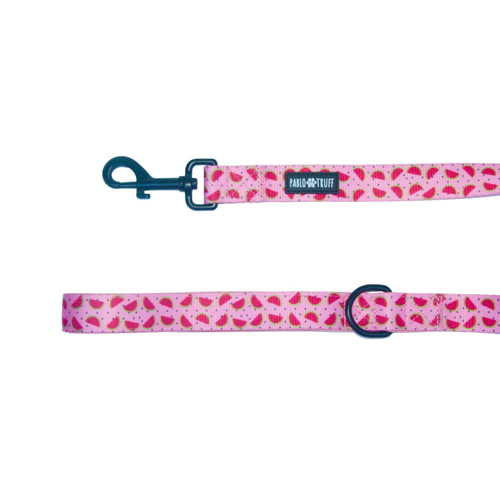 Leashes