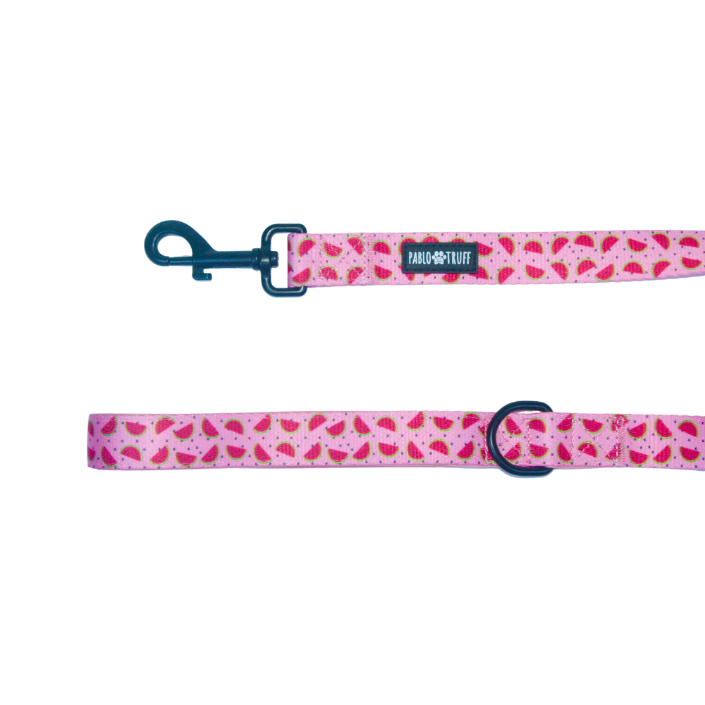 Leashes