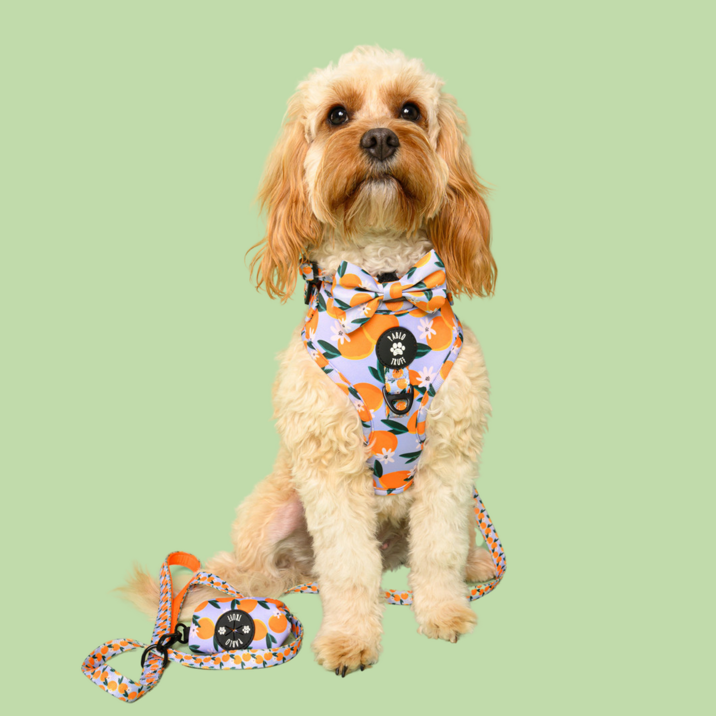 Harnesses