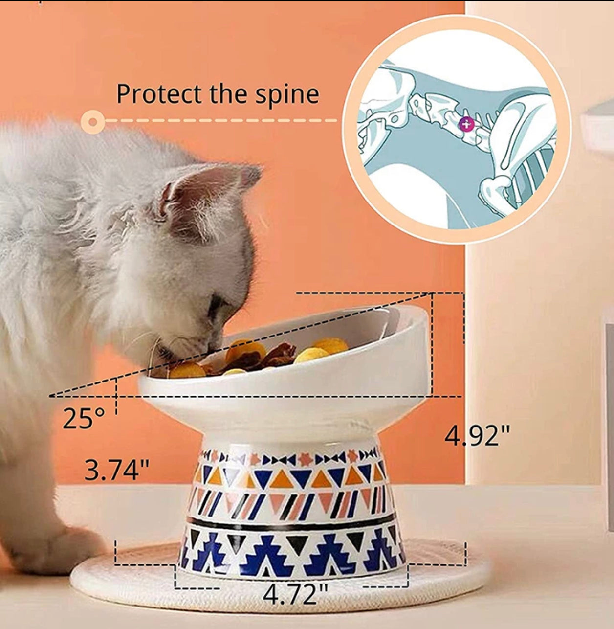Pet Bowl